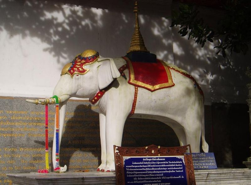 White Elephant Shrine at Wat Phra That Doi Suthep in Chiang Mai
