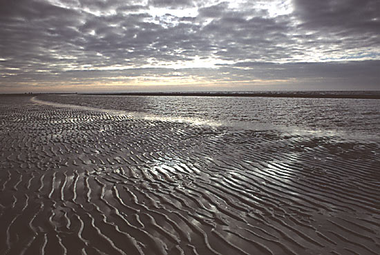 Sand Ripples on Beach at Romer in Denmark by John Drewnicki