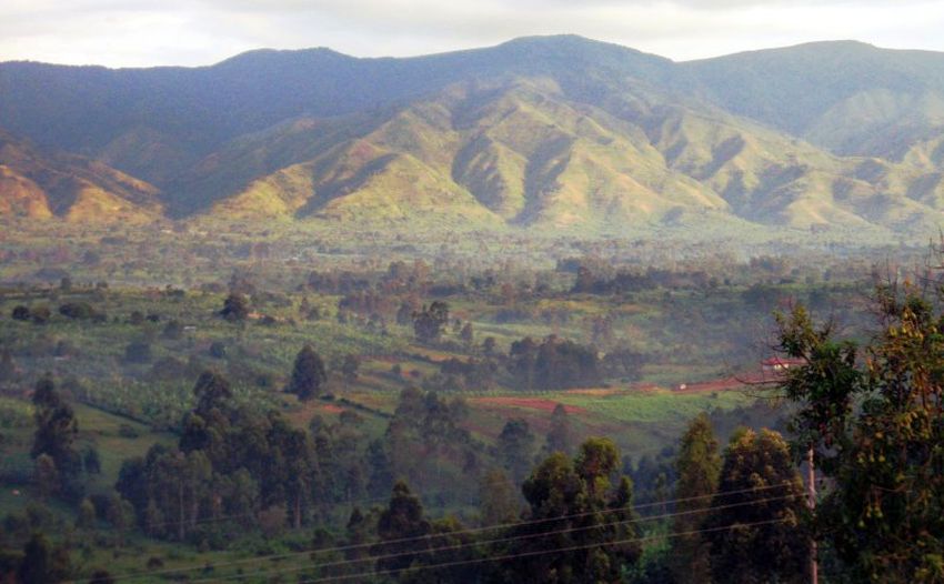 Rwenzori Range