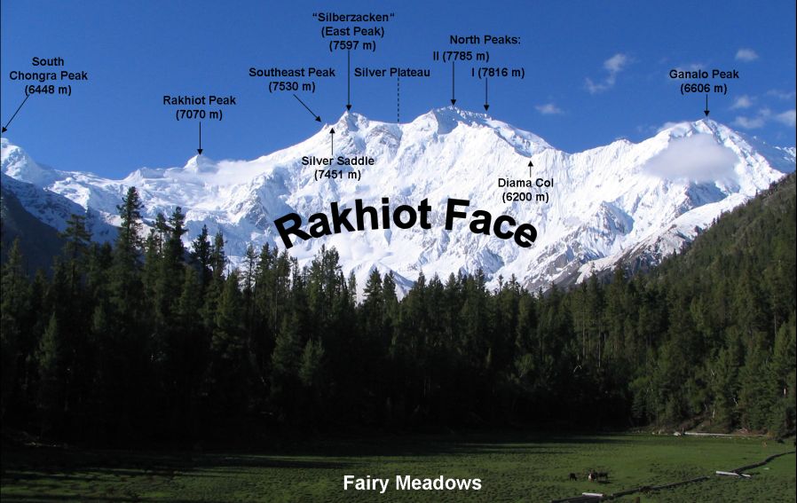 North ( Rakhiot ) Face of Nanga Parbat from Fairy Meadows