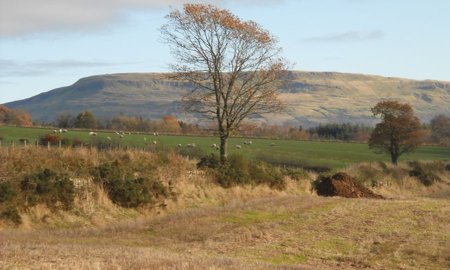 Fintry Hills from Roman Road at Balfron