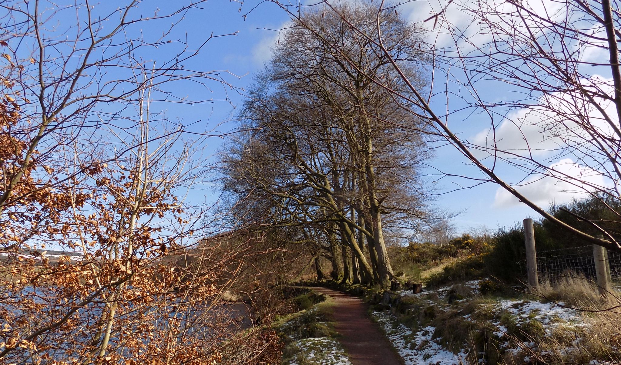 Mill Path on the south side of Banton Loch to Banton Village