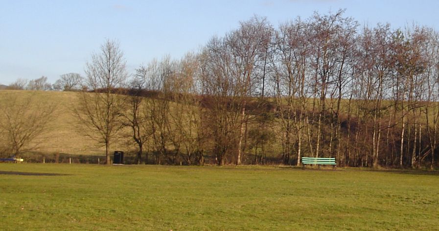 Playing Field in Mosshead