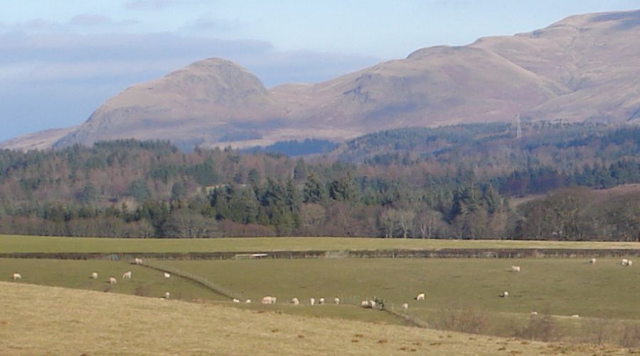 Dumgoyne and the Campsie Fells from Mains Wood