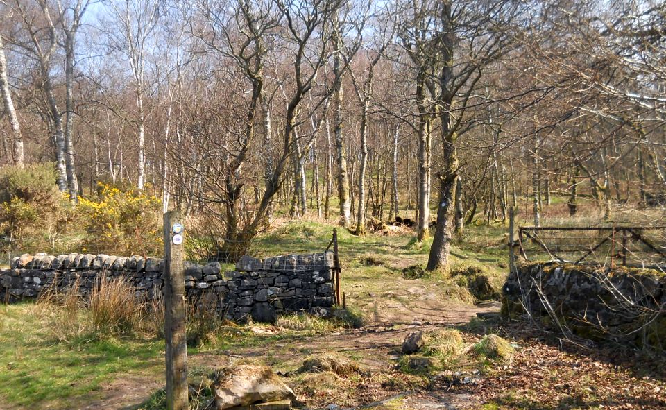 Public Path from Balloch to Helensburgh