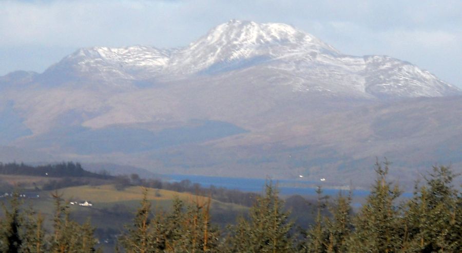 Ben Lomond from the summit of Pappert Hill