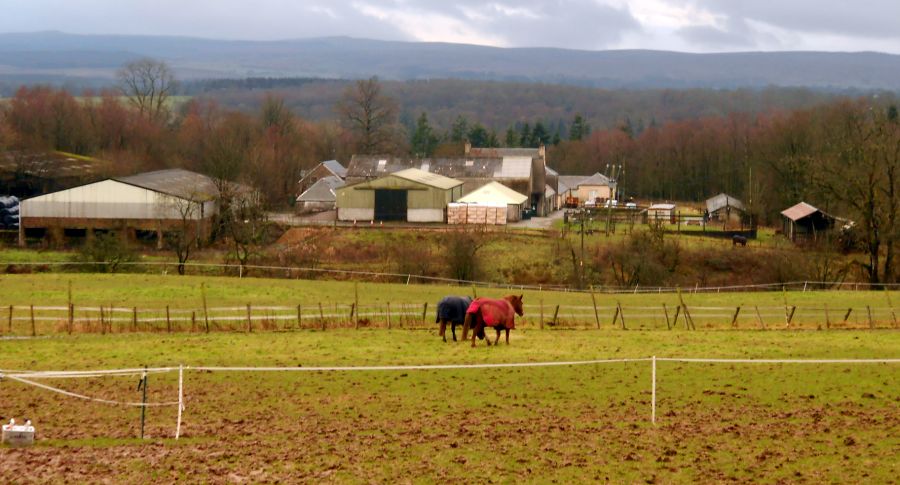 Buchanan Home Farm on outskirts of Drymen from Ballyconochy Loan