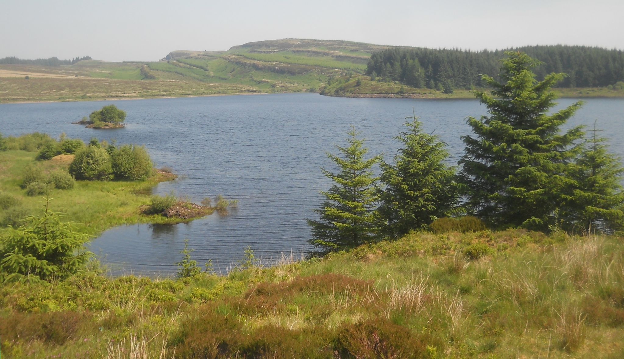 The Whangie and Auchineden Hill from Burncrooks Reservoir