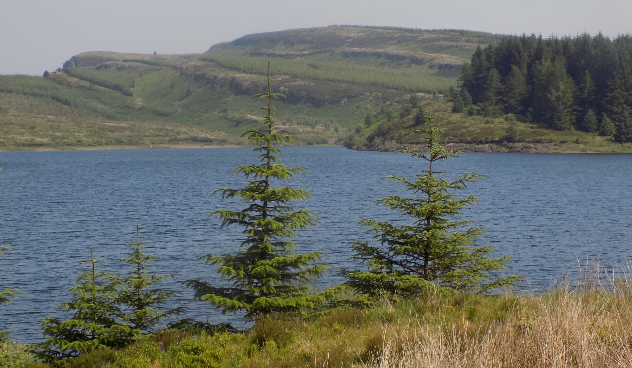 The Whangie and Auchineden Hill from Burncrooks Reservoir