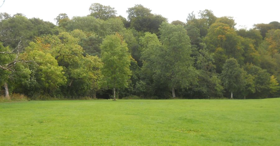 Grasslands and Woodlands in Calderglen Country Park
