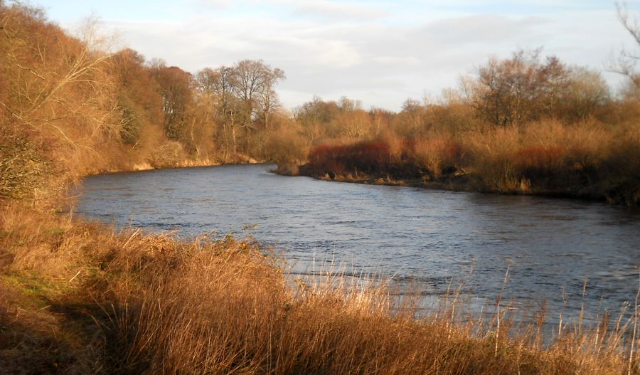 River Clyde near Daldowie Crematorium