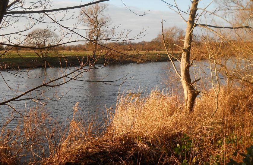River Clyde near Uddingston