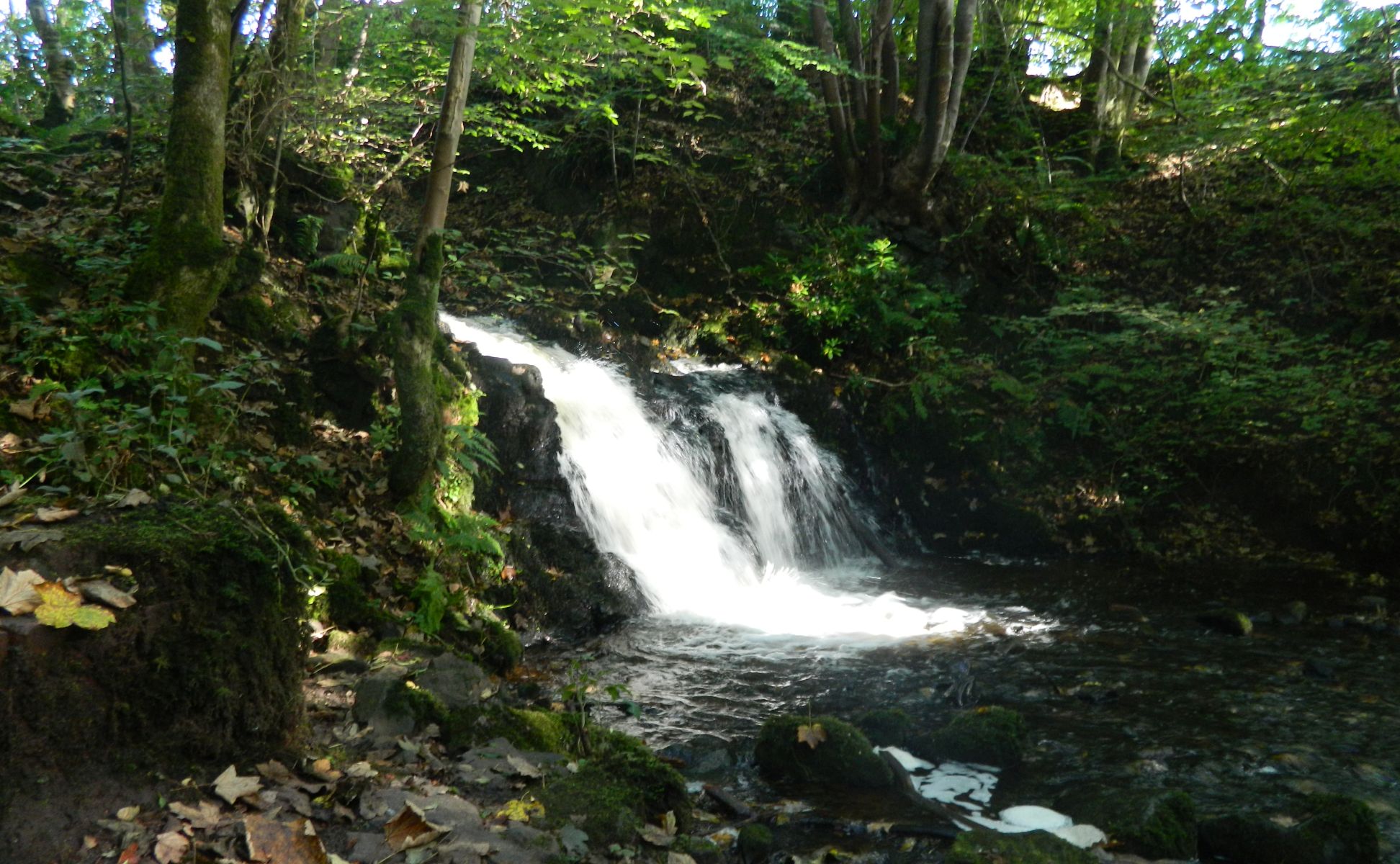 Lady's Lynn Waterfall on Cochno Burn