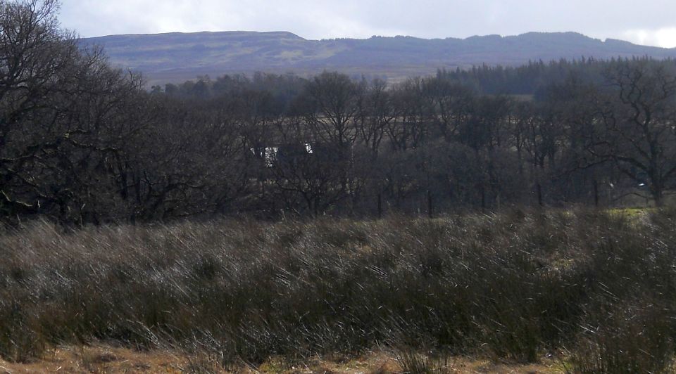 Kilpatrick Hills from Pirniehall