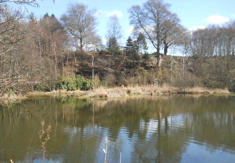 Pond in Finlaystone Country Park