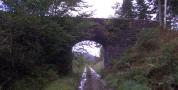 DSCF3077.JPG