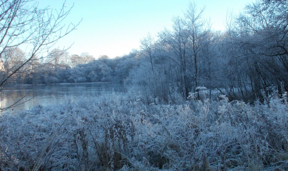 Kilmardinny Loch in winter