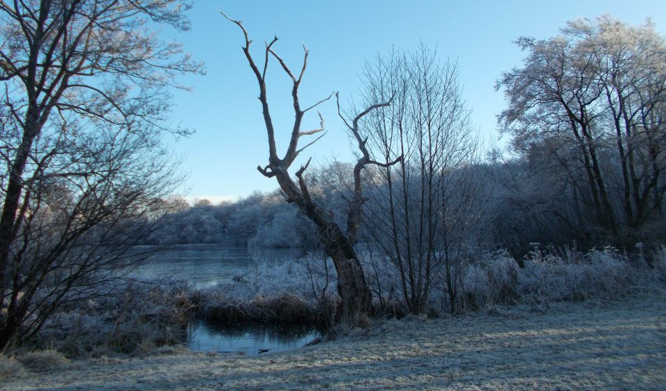 Kilmardinny Loch in winter