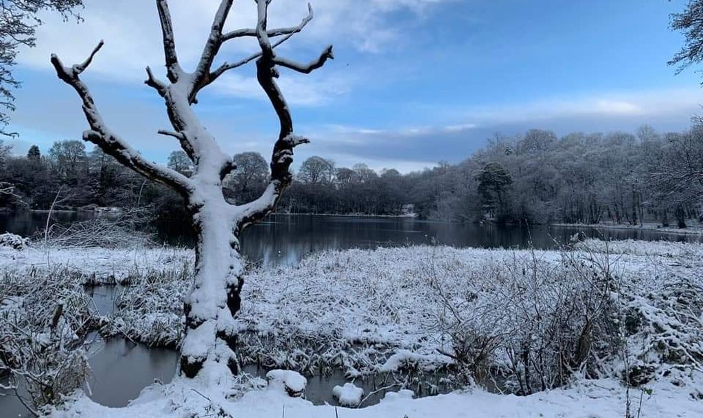 Winter snow scene at Kilmardinny Loch in Bearsden