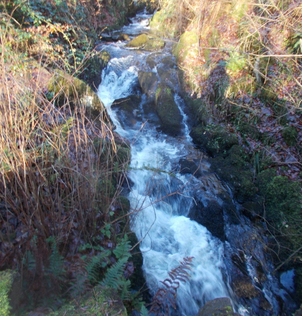 Waterfalls in Colzium Glen