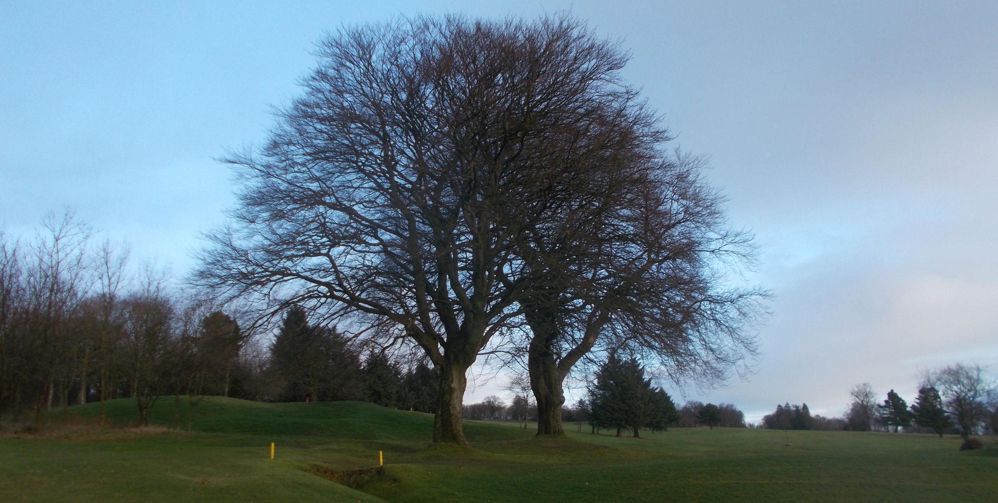 Kilsyth Lennox Golf Course