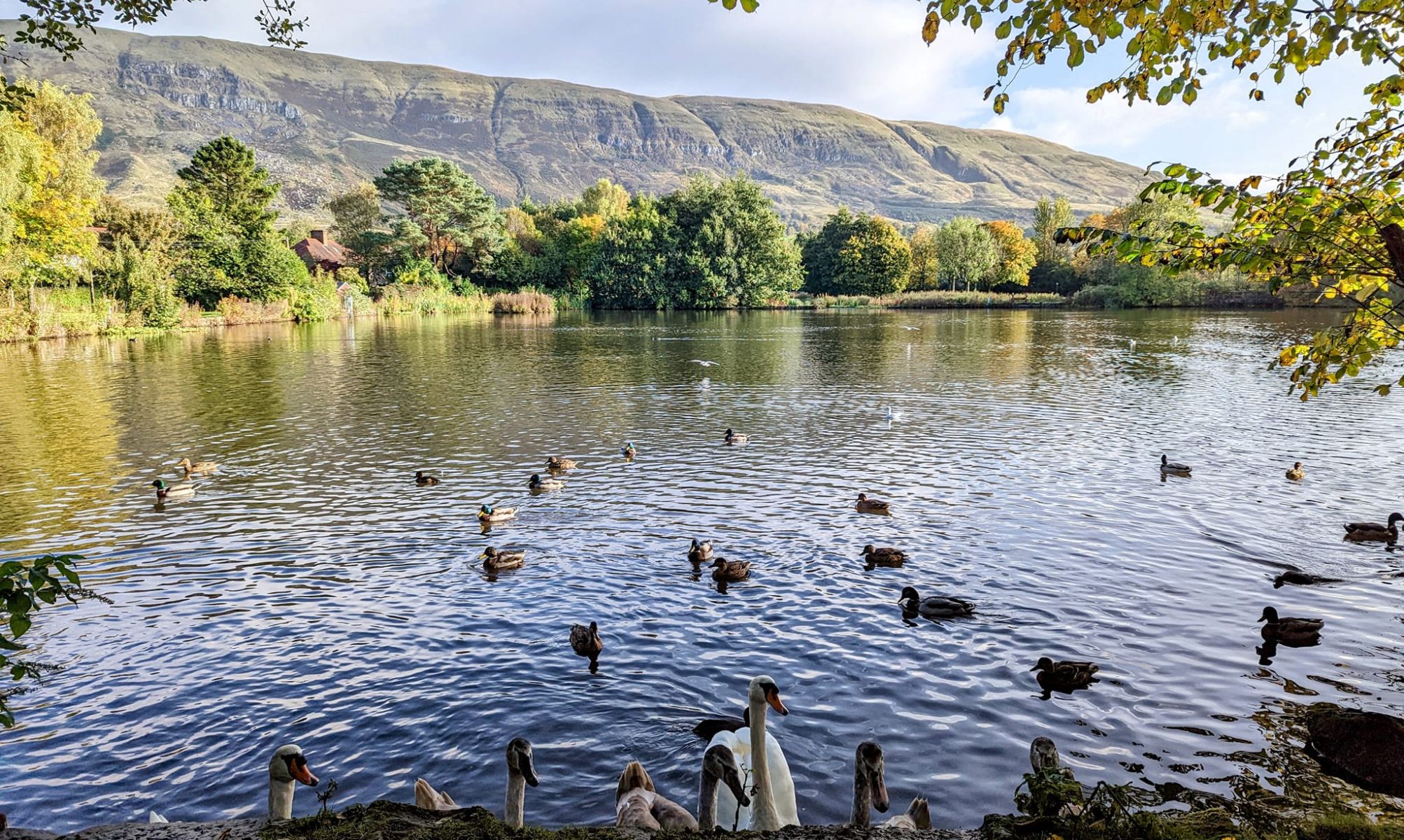 Whitefield Pond in Lennoxtown