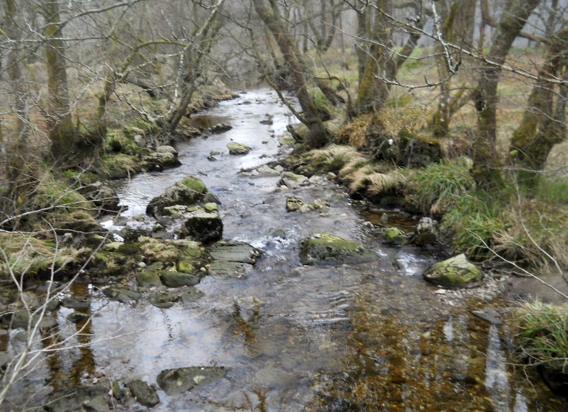 Stream from Loch Achray trail