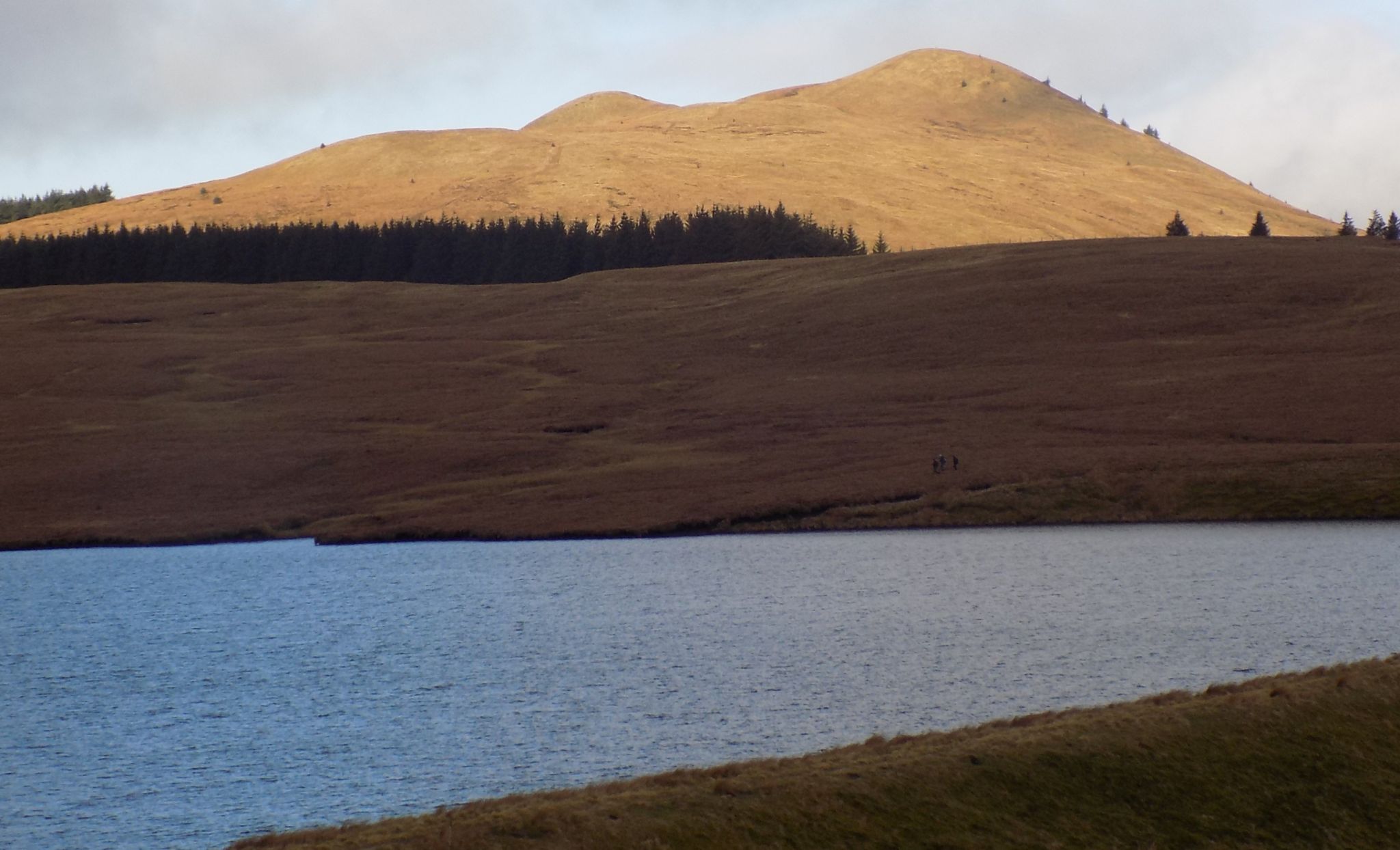 Laird's Hill from Chapman's Road