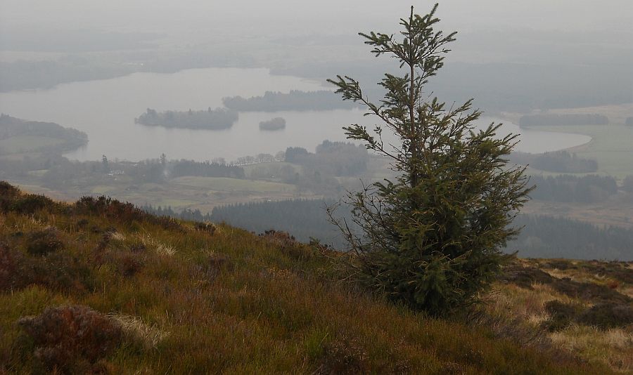 Lake Menteith from the Menteith Hills above Braeval Forest