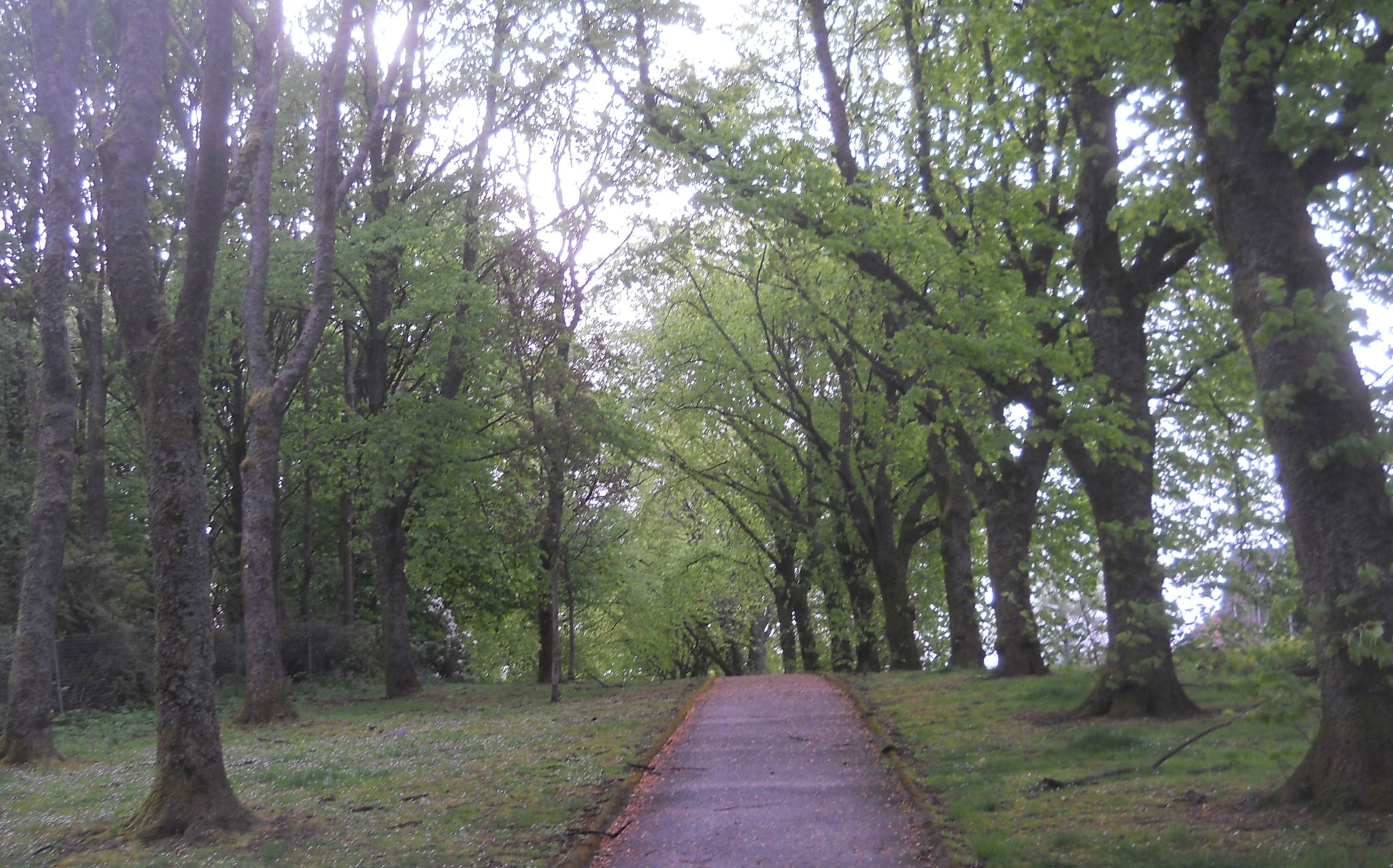 Lennox Park in Milngavie