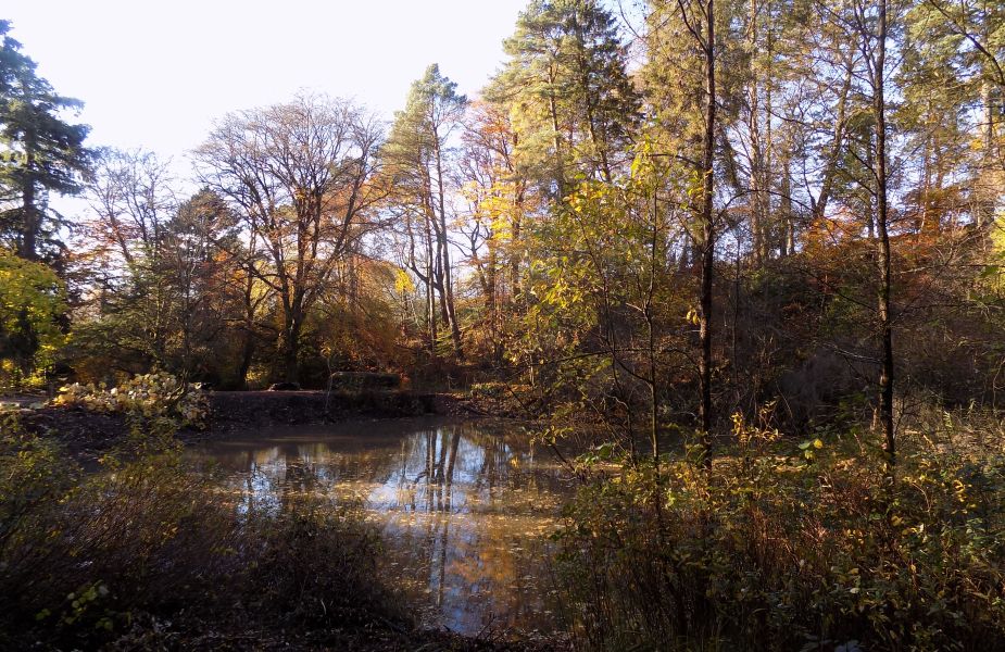 The Fish Pond in Overtoun estate
