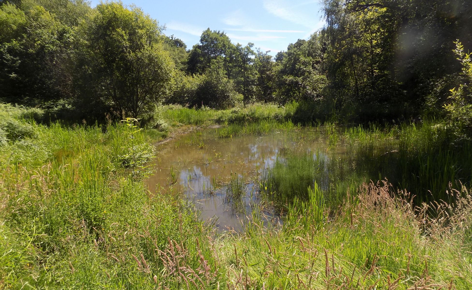 Pond in Plean Park