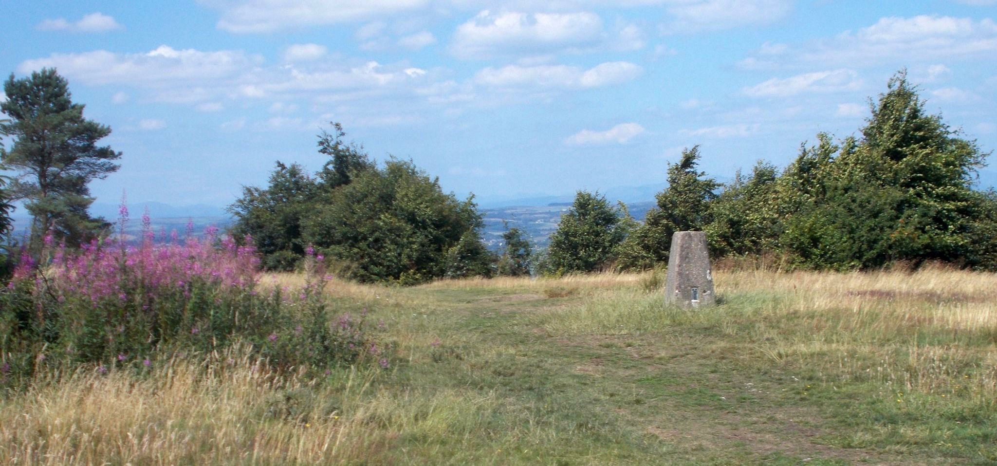 Trig Point in Robertson Park