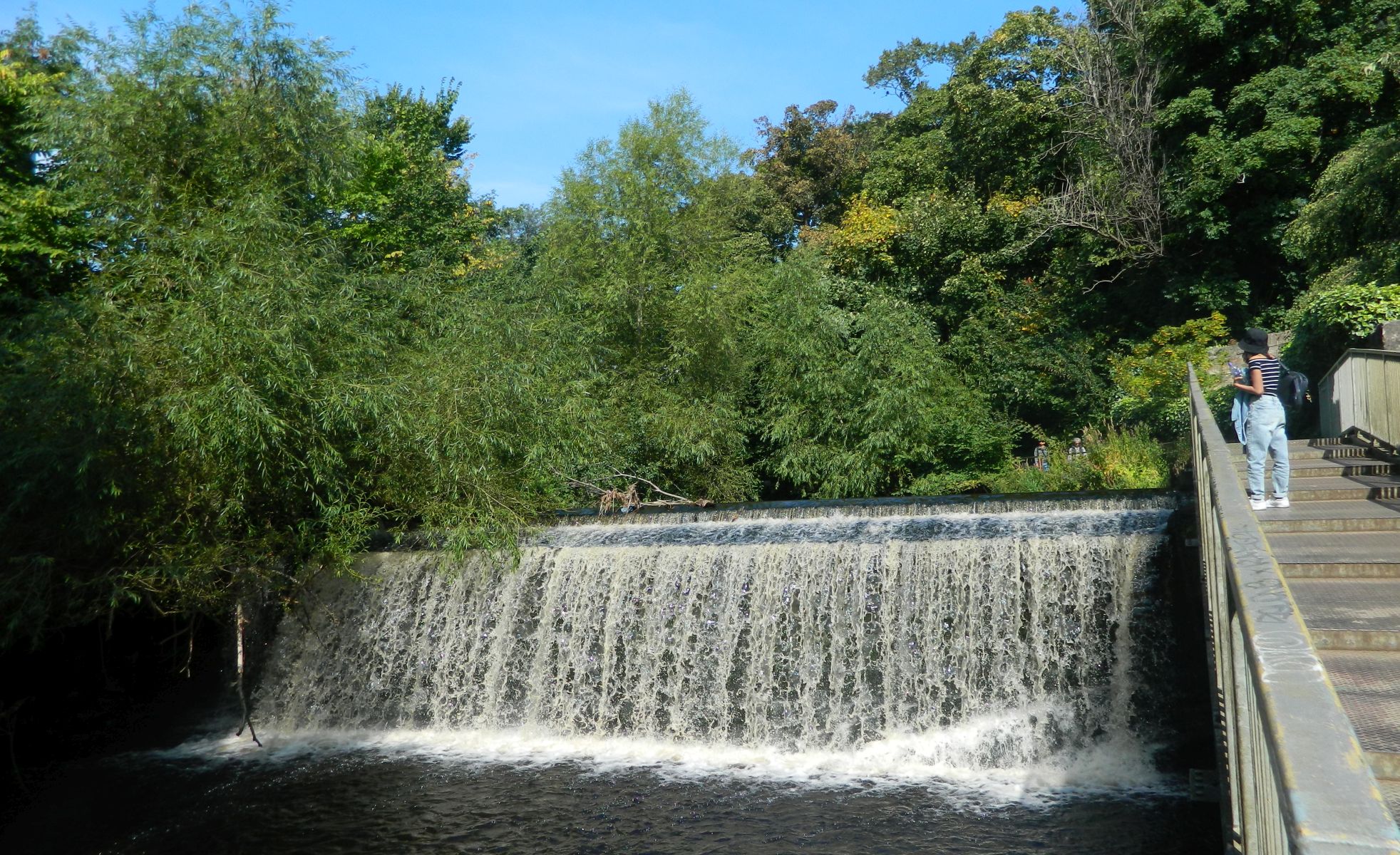 Weir on the Water of Leith