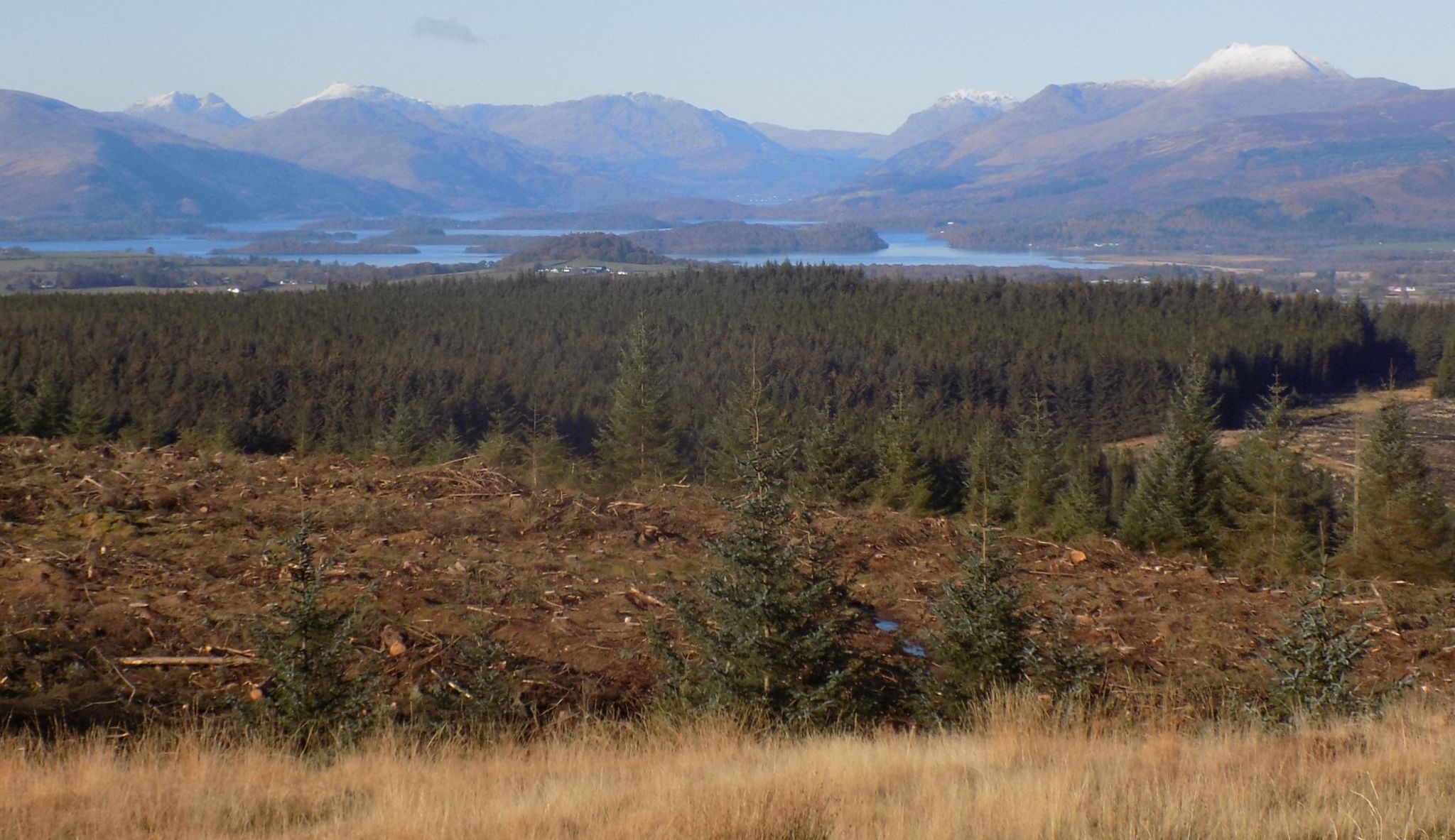 Arrochar Alps and Ben Lomond above Loch Lomond on route to the Whangie